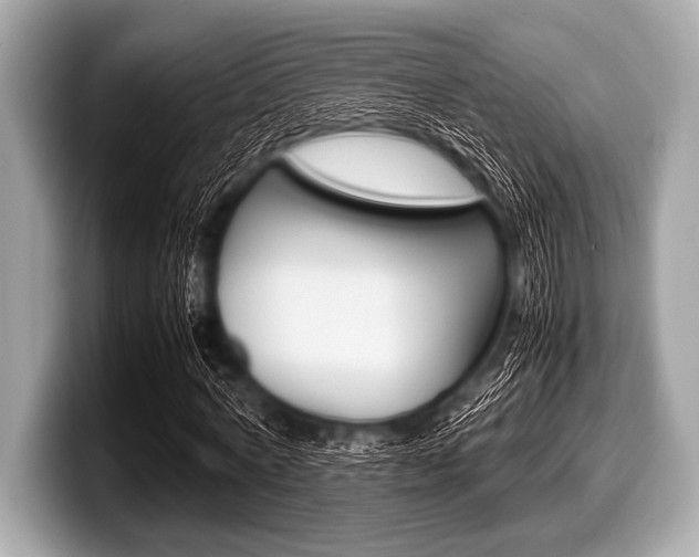 X0000099230772200804241228