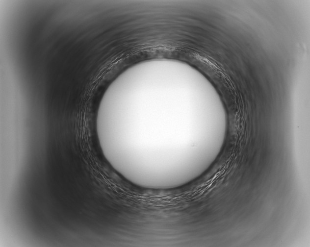 X0000099230774200804241228