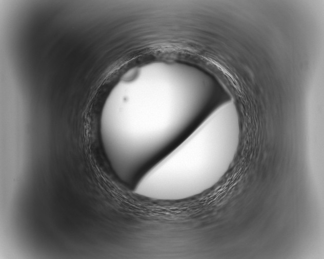 X0000099230775200804241228