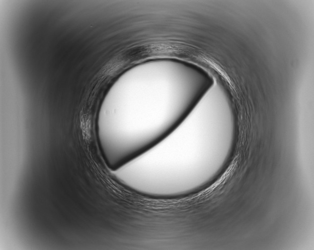 X0000099230777200804241228
