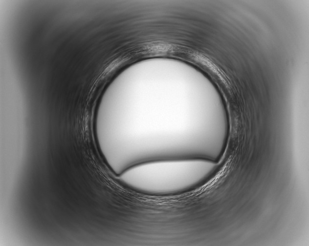 X0000099230778200804241228