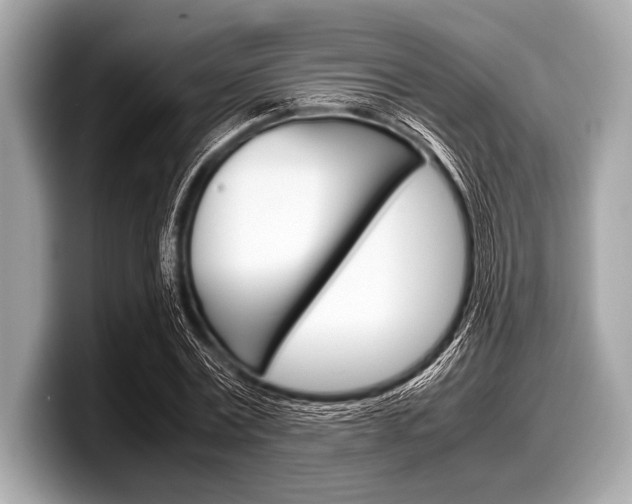 X0000099230779200804241228