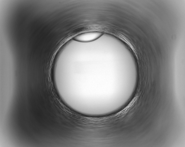 X0000099230781200804241228