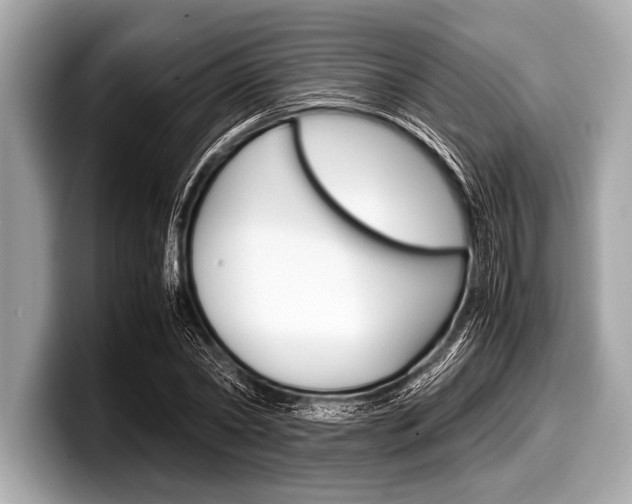 X0000099230782200804241228