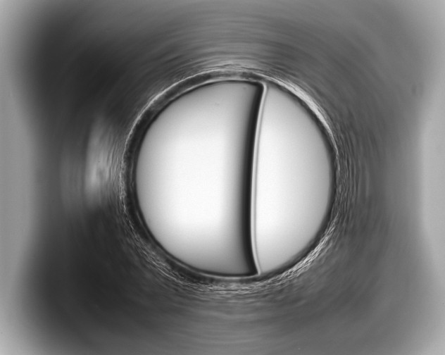 X0000099230783200804241228