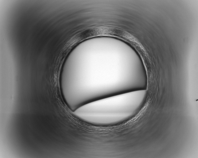 X0000099230785200804241228