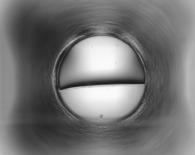 X0000099230787200804241228