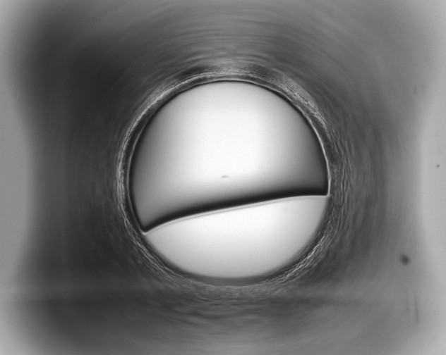 X0000099230789200804241228