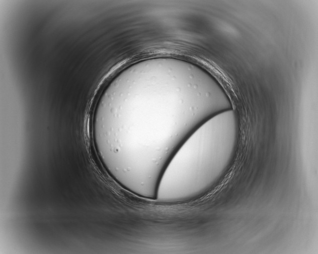 X0000099230790200804241228