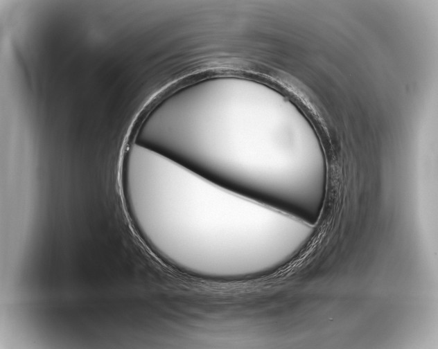 X0000099230791200804241228