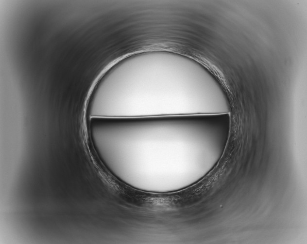 X0000099230792200804241228