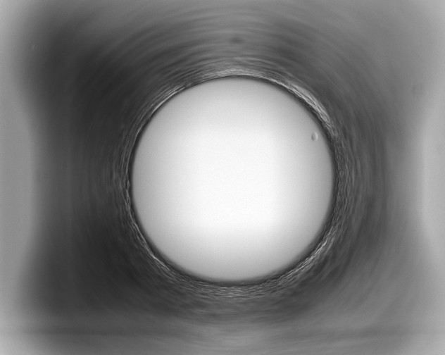 X0000099230793200804241228