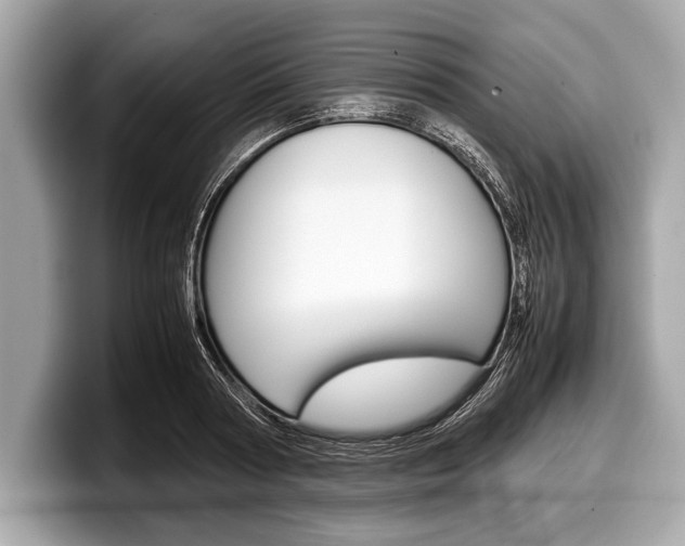 X0000099230794200804241228
