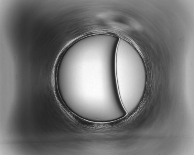 X0000099230795200804241228