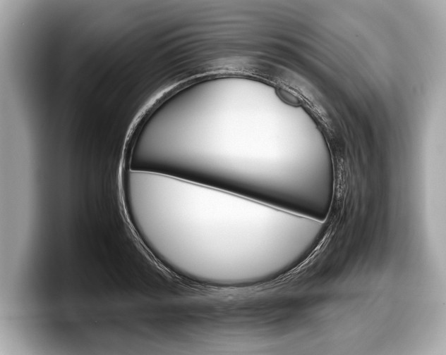 X0000099230796200804241228