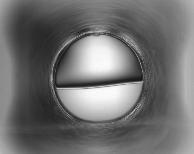 X0000099230797200804241228