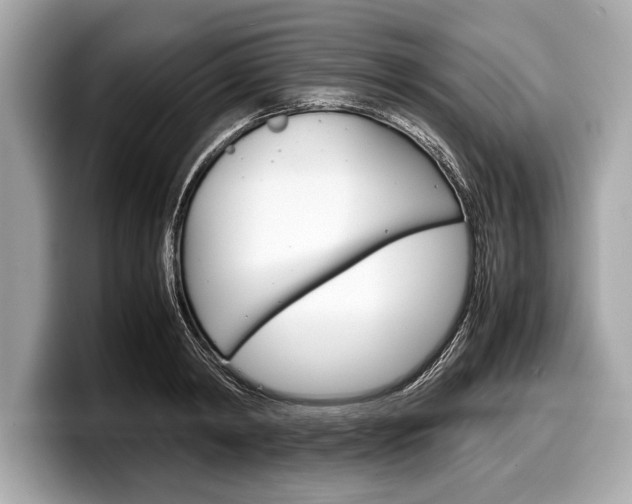 X0000099230798200804241228
