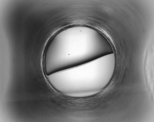 X0000099230799200804241228