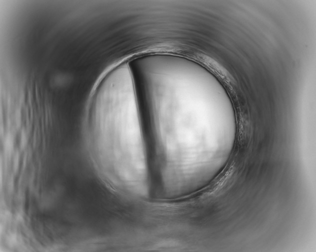X0000099230800200804241228