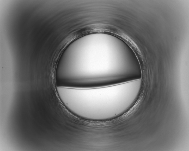 X0000099230801200804241228