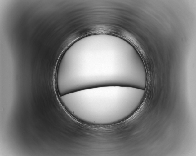 X0000099230802200804241228