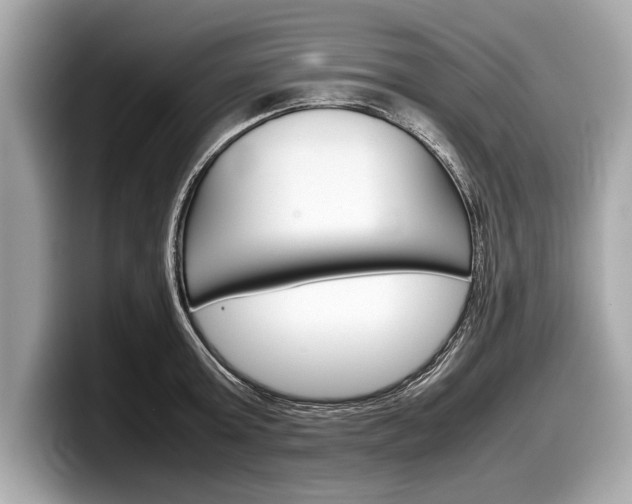 X0000099230803200804241228