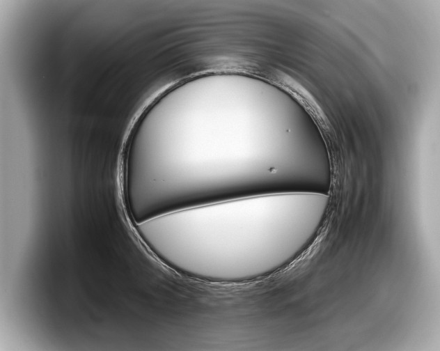 X0000099230804200804241228
