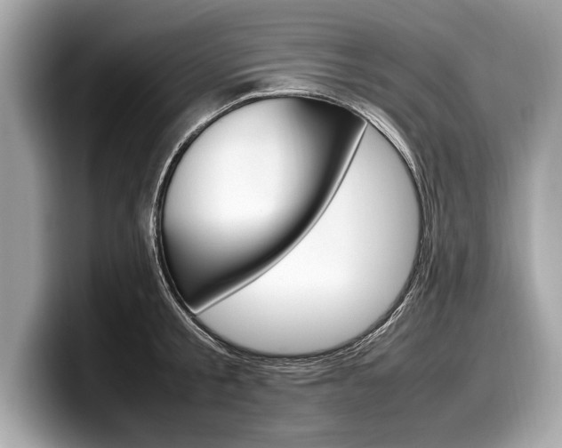X0000099230805200804241228