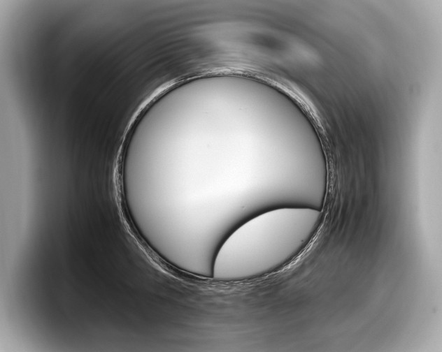 X0000099230806200804241228