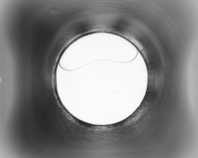 X0000099230807200804241228