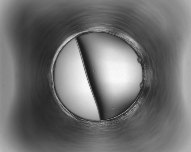 X0000099230808200804241228