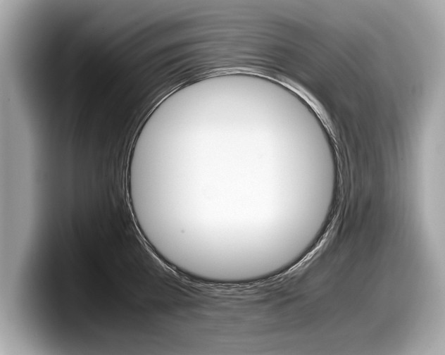 X0000099230809200804241228