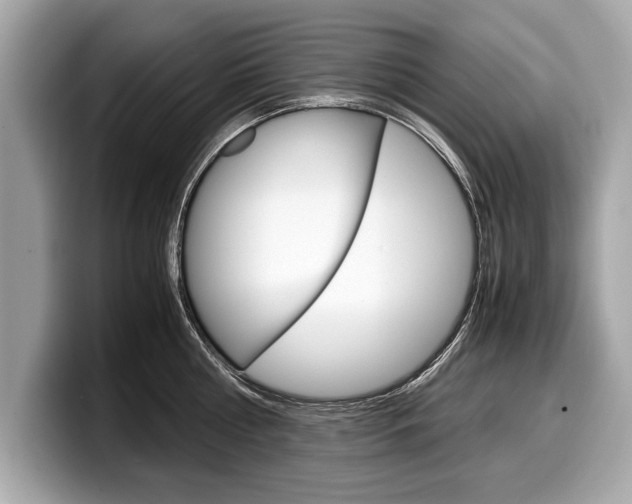 X0000099230810200804241228