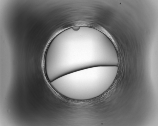 X0000099230811200804241228
