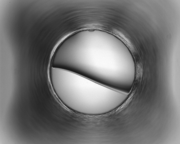 X0000099230812200804241228