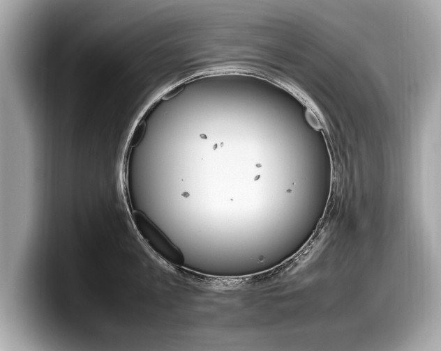 X0000099230813200804241228
