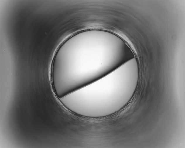 X0000099230815200804241228