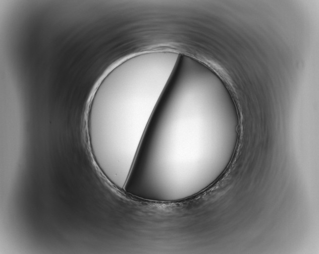 X0000099230816200804241228