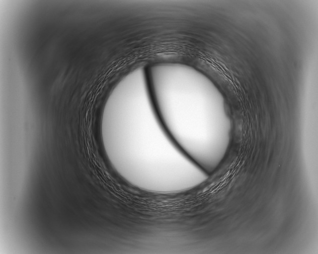 X0000099230817200804241227