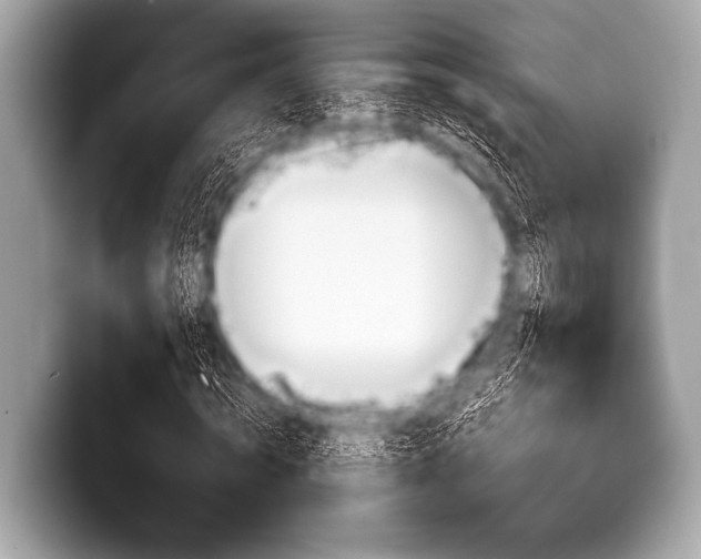 X0000099230820200804241227