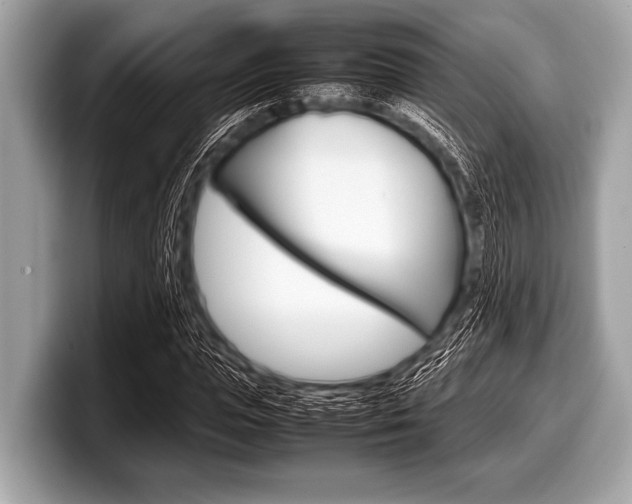 X0000099230823200804241227