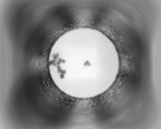 X0000099230824200804241227