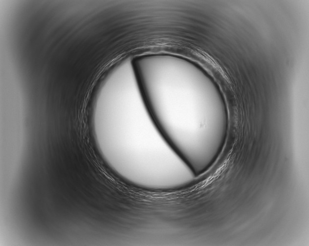 X0000099230826200804241227