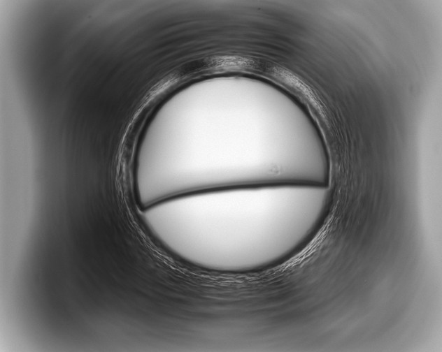 X0000099230827200804241227