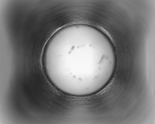 X0000099230828200804241227
