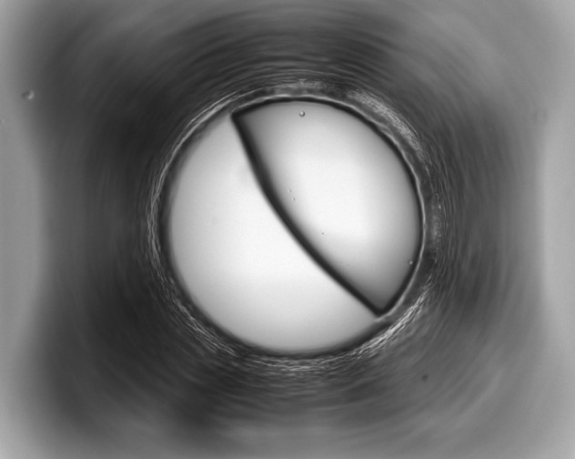 X0000099230829200804241227