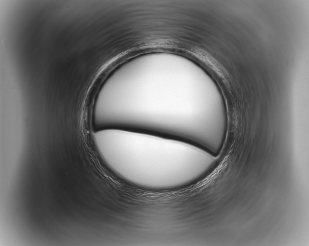 X0000099230830200804241227