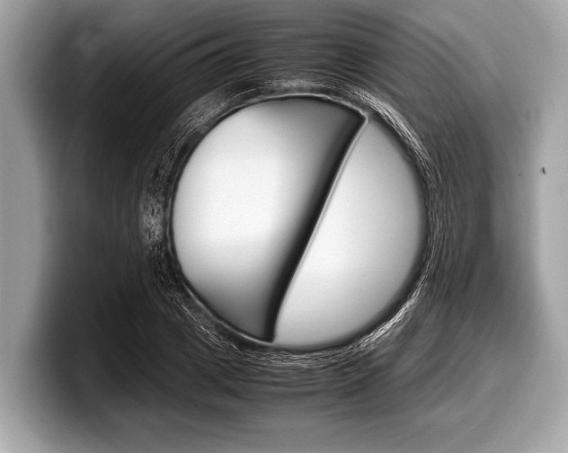X0000099230833200804241227