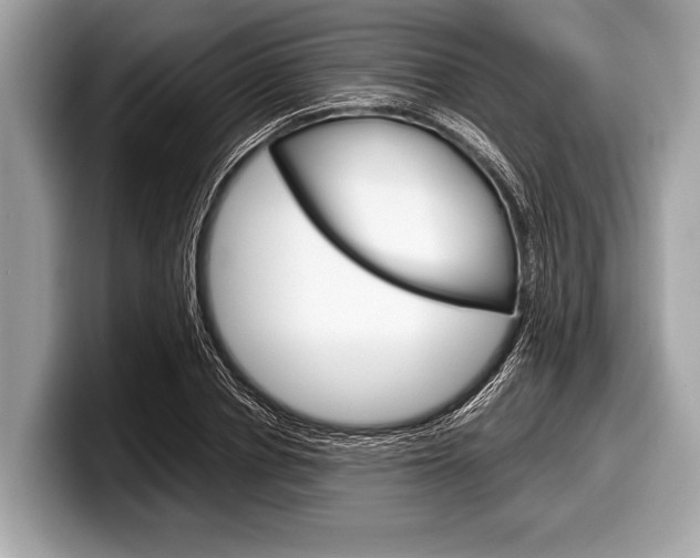 X0000099230834200804241227