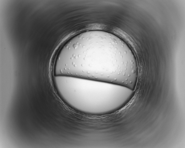 X0000099230835200804241227